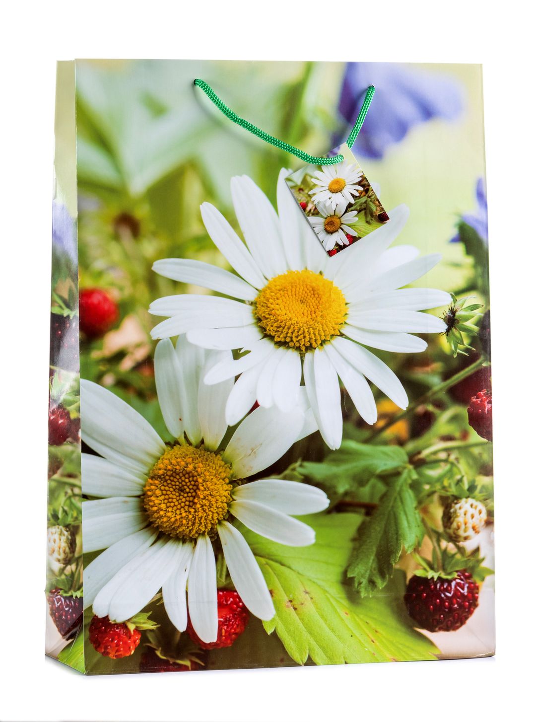 Laro Jumbo Geschenktüten 10-100 Stk - Große Verpackung für außergewöhnliche Geschenke