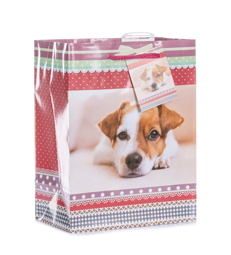 Laro Medium Geschenktüten 10-100 Stk - Perfekte Verpackung für vielseitige Geschenke