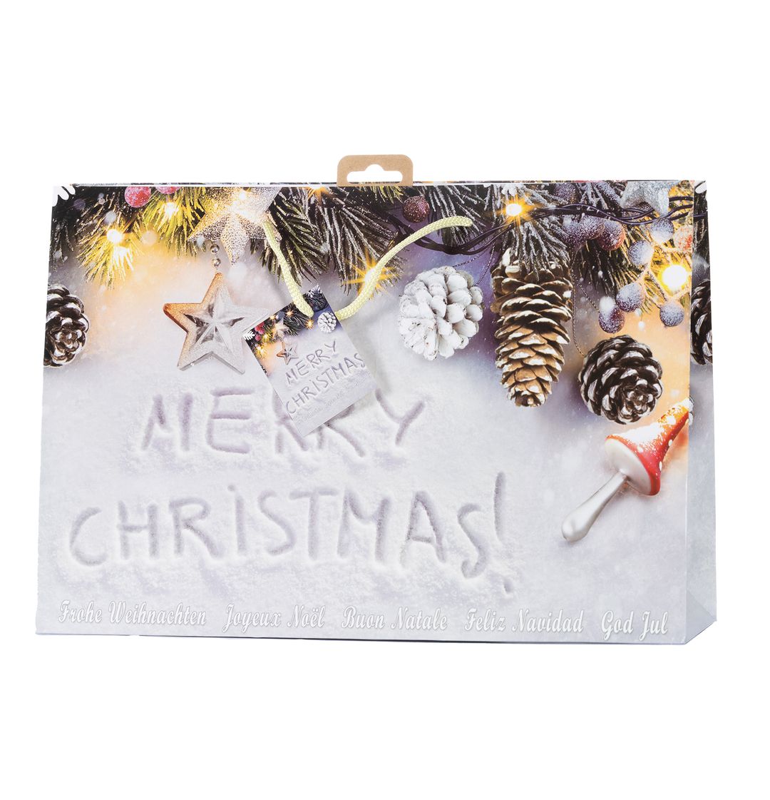 Laro Premium Geschenktaschen Geschenktüten Weihnachten 10/20/40/100stk Mini